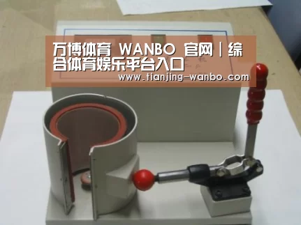 万博体育案例展示六