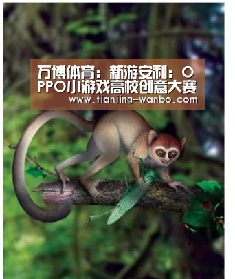万博体育